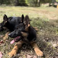 processed/2a71a738-9268-4415-879d-732ee3dba16d/facility/d552a061-ae74-47f3-b937-8aa8da36464e