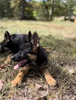 processed/2a71a738-9268-4415-879d-732ee3dba16d/facility/d552a061-ae74-47f3-b937-8aa8da36464e