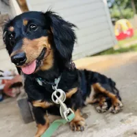 processed/2a71a738-9268-4415-879d-732ee3dba16d/facility/dbfce1f7-aefb-4572-875e-a2a94836b27d