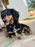 processed/2a71a738-9268-4415-879d-732ee3dba16d/facility/dbfce1f7-aefb-4572-875e-a2a94836b27d