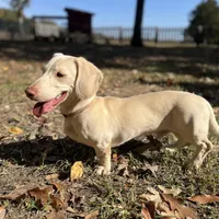 processed/2a71a738-9268-4415-879d-732ee3dba16d/facility/dc882e60-b4ef-4dc5-9b18-45f91c363672