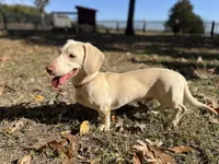 processed/2a71a738-9268-4415-879d-732ee3dba16d/facility/dc882e60-b4ef-4dc5-9b18-45f91c363672