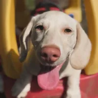 processed/2a71a738-9268-4415-879d-732ee3dba16d/facility/e9e36cf9-4e9f-4d2a-98f0-3b3a3b85e9d0