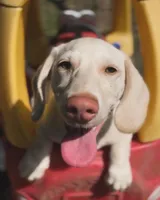 processed/2a71a738-9268-4415-879d-732ee3dba16d/facility/e9e36cf9-4e9f-4d2a-98f0-3b3a3b85e9d0