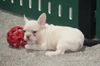 processed/2a79672e-bb06-4c80-bd53-a76665171051/listing/03f8f257-3237-4881-9d33-4a41476b6fcf/ac2cd21c-8966-42fa-bd9f-b1577546af59