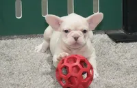 processed/2a79672e-bb06-4c80-bd53-a76665171051/listing/03f8f257-3237-4881-9d33-4a41476b6fcf/fb76b7ad-7a00-406f-82c6-367b1d37af1d