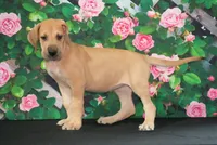 processed/2a79672e-bb06-4c80-bd53-a76665171051/listing/555aadc4-0555-45bd-88bc-8701f94d8d8b/3c589a1e-9d9a-47d8-b010-8582b627cd52