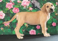 processed/2a79672e-bb06-4c80-bd53-a76665171051/listing/555aadc4-0555-45bd-88bc-8701f94d8d8b/bb9f16b8-5f81-46fa-be65-6ef9e4377cf6