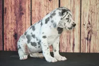 processed/2a79672e-bb06-4c80-bd53-a76665171051/listing/731eeef3-fd6a-4b18-b031-b669a63c1389/56c08418-d92f-4654-b5ab-1e52ea16e9bb