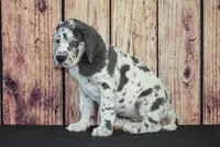 processed/2a79672e-bb06-4c80-bd53-a76665171051/listing/731eeef3-fd6a-4b18-b031-b669a63c1389/9475c920-fedd-4d79-b2c7-68f2dd5db14b