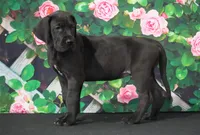 processed/2a79672e-bb06-4c80-bd53-a76665171051/listing/89f062f0-37ef-4c5f-96a3-80766b7afe6d/1bd140bc-5867-4c16-a420-6c7ddf1ab1b3