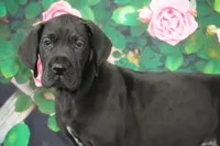 processed/2a79672e-bb06-4c80-bd53-a76665171051/listing/89f062f0-37ef-4c5f-96a3-80766b7afe6d/42687e70-c306-4a32-b7df-ab525de4f191