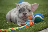 processed/2a79672e-bb06-4c80-bd53-a76665171051/listing/bcce7e0d-5ec2-45fd-9b8e-f5c925ff5b64/79a5de6a-5008-4212-bf1f-32e41dd8cc49