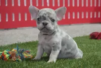 processed/2a79672e-bb06-4c80-bd53-a76665171051/listing/bcce7e0d-5ec2-45fd-9b8e-f5c925ff5b64/a8c32c2a-fc82-41e5-9258-4d9f3802daea