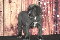 processed/2a79672e-bb06-4c80-bd53-a76665171051/listing/c2194c69-22a3-493f-868c-29005b12ce3c/14039e1e-1b37-4a47-9321-38e265e85227