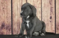 processed/2a79672e-bb06-4c80-bd53-a76665171051/listing/c2194c69-22a3-493f-868c-29005b12ce3c/53393644-55d3-4377-ab1d-0cb1c4b24d34