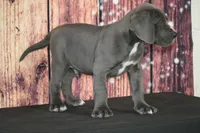 processed/2a79672e-bb06-4c80-bd53-a76665171051/listing/c2194c69-22a3-493f-868c-29005b12ce3c/a3941314-24b7-4f76-8504-1038f00d7139