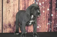 processed/2a79672e-bb06-4c80-bd53-a76665171051/listing/c2194c69-22a3-493f-868c-29005b12ce3c/e0259321-1647-48ae-8fab-88e0a33c3b36