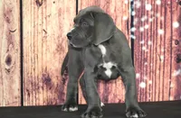 processed/2a79672e-bb06-4c80-bd53-a76665171051/listing/c2194c69-22a3-493f-868c-29005b12ce3c/e58fd679-cbd1-4311-b8f3-c02396d23cf2