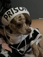 processed/2a853866-72e3-47a6-ad48-ca32c348948f/facility/1fa656ad-2435-453d-bcf3-a48a3c2cc6e4