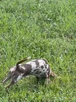 processed/2a853866-72e3-47a6-ad48-ca32c348948f/facility/2d1bb0b8-d871-4f44-a525-6fcabb225905