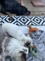 processed/2a853866-72e3-47a6-ad48-ca32c348948f/facility/38a4600d-75c4-488d-819d-194b9081ebfa