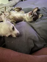 processed/2a853866-72e3-47a6-ad48-ca32c348948f/facility/5f11d090-1cb2-453e-b404-55d9b0cc237a