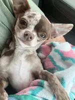 processed/2a853866-72e3-47a6-ad48-ca32c348948f/facility/7c69fa18-029b-43c5-b77e-8f4b6f711b10