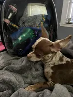 processed/2a853866-72e3-47a6-ad48-ca32c348948f/facility/7fde81a7-bfb7-4780-b9a5-bb56154bb6e6