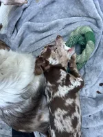 processed/2a853866-72e3-47a6-ad48-ca32c348948f/facility/998296cd-70b6-47e1-b236-557e4a0fd462