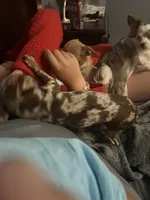 processed/2a853866-72e3-47a6-ad48-ca32c348948f/facility/aebf1cb1-42e1-4ff7-8b58-7e234afb1eec