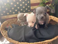 processed/2a853866-72e3-47a6-ad48-ca32c348948f/listing/85db5116-86a1-4bfb-9991-7270e5fe3c8b/0bff54a3-7ccc-4556-8838-5ffe66eb0e5e