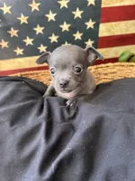 processed/2a853866-72e3-47a6-ad48-ca32c348948f/listing/85db5116-86a1-4bfb-9991-7270e5fe3c8b/14d4a98c-34c4-4713-8626-b2eab111051a