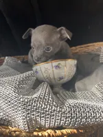 processed/2a853866-72e3-47a6-ad48-ca32c348948f/listing/85db5116-86a1-4bfb-9991-7270e5fe3c8b/2798bc67-8084-454c-9a66-13d9beb79a41