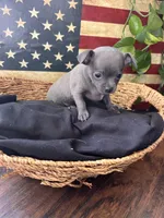 processed/2a853866-72e3-47a6-ad48-ca32c348948f/listing/85db5116-86a1-4bfb-9991-7270e5fe3c8b/3e62431a-4946-4bc6-8288-b76c24b9a0be