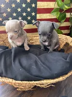 processed/2a853866-72e3-47a6-ad48-ca32c348948f/listing/85db5116-86a1-4bfb-9991-7270e5fe3c8b/6b695f5c-49d6-4628-b1ac-55c2048e79e4