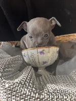 processed/2a853866-72e3-47a6-ad48-ca32c348948f/listing/85db5116-86a1-4bfb-9991-7270e5fe3c8b/9febbd72-fe0d-4d58-8849-f2aef516f579