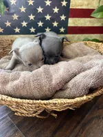 processed/2a853866-72e3-47a6-ad48-ca32c348948f/listing/85db5116-86a1-4bfb-9991-7270e5fe3c8b/c05011de-6d18-4fd2-9d1d-06ecc515d916