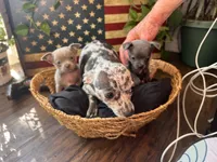 processed/2a853866-72e3-47a6-ad48-ca32c348948f/listing/85db5116-86a1-4bfb-9991-7270e5fe3c8b/fe26eaf1-cc2a-4ca6-a5d6-d833d700c33b