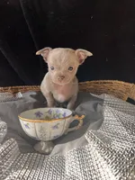 processed/2a853866-72e3-47a6-ad48-ca32c348948f/listing/d9352f50-30e4-409e-84ef-c09c3a9a9b13/4a748bd4-8b26-4fac-ab0d-20a2622ba0d9