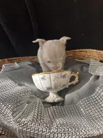 processed/2a853866-72e3-47a6-ad48-ca32c348948f/listing/d9352f50-30e4-409e-84ef-c09c3a9a9b13/6305b297-9b6c-48a6-98b1-2c3a36d759e2