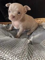 processed/2a853866-72e3-47a6-ad48-ca32c348948f/listing/d9352f50-30e4-409e-84ef-c09c3a9a9b13/68e48419-ddff-4fcf-9e29-d6fc4cd58400