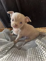 processed/2a853866-72e3-47a6-ad48-ca32c348948f/listing/d9352f50-30e4-409e-84ef-c09c3a9a9b13/afe3007a-cbf4-4553-b770-369801298d6c