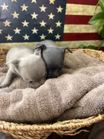 processed/2a853866-72e3-47a6-ad48-ca32c348948f/listing/d9352f50-30e4-409e-84ef-c09c3a9a9b13/c02bf387-abf6-44b1-96f9-1377c9a09456