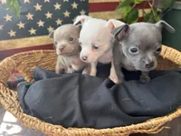 processed/2a853866-72e3-47a6-ad48-ca32c348948f/listing/d9352f50-30e4-409e-84ef-c09c3a9a9b13/cec2dee0-5f48-40c9-aae2-1057a2f29d23