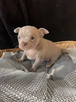 processed/2a853866-72e3-47a6-ad48-ca32c348948f/listing/d9352f50-30e4-409e-84ef-c09c3a9a9b13/d10044a6-1dc3-4569-811e-7e2b6525277e