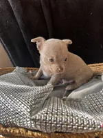 processed/2a853866-72e3-47a6-ad48-ca32c348948f/listing/d9352f50-30e4-409e-84ef-c09c3a9a9b13/e3fa83b4-cfdc-4345-bfd0-68a46c1c7f26