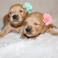 processed/2a8b6e2d-481e-446f-a104-e5b68718db80/facility/43e51d51-6f8d-40a2-99bb-d73695058220