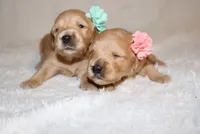 processed/2a8b6e2d-481e-446f-a104-e5b68718db80/facility/43e51d51-6f8d-40a2-99bb-d73695058220