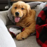 processed/2a8b6e2d-481e-446f-a104-e5b68718db80/facility/a4f78d00-a428-498a-a4a8-399972b6dccc